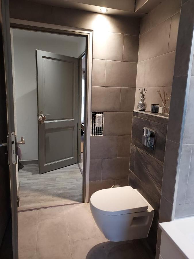 Residence Du Vieux Chateau Jardin & Parking Gratuit Mulhouse Eksteriør bilde