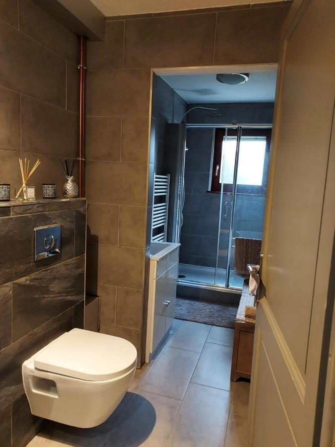 Residence Du Vieux Chateau Jardin & Parking Gratuit Mulhouse Eksteriør bilde