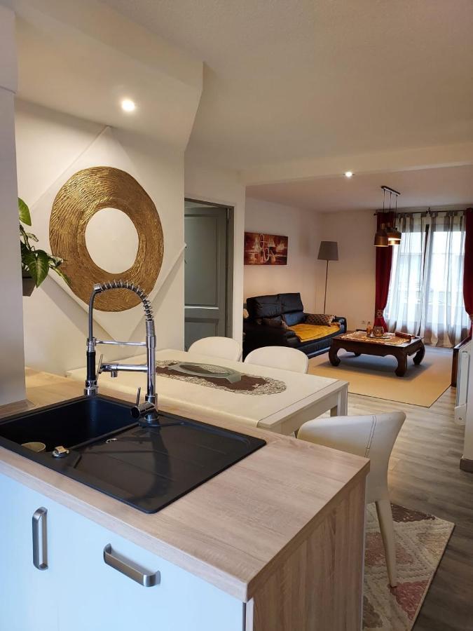 Residence Du Vieux Chateau Jardin & Parking Gratuit Mulhouse Eksteriør bilde