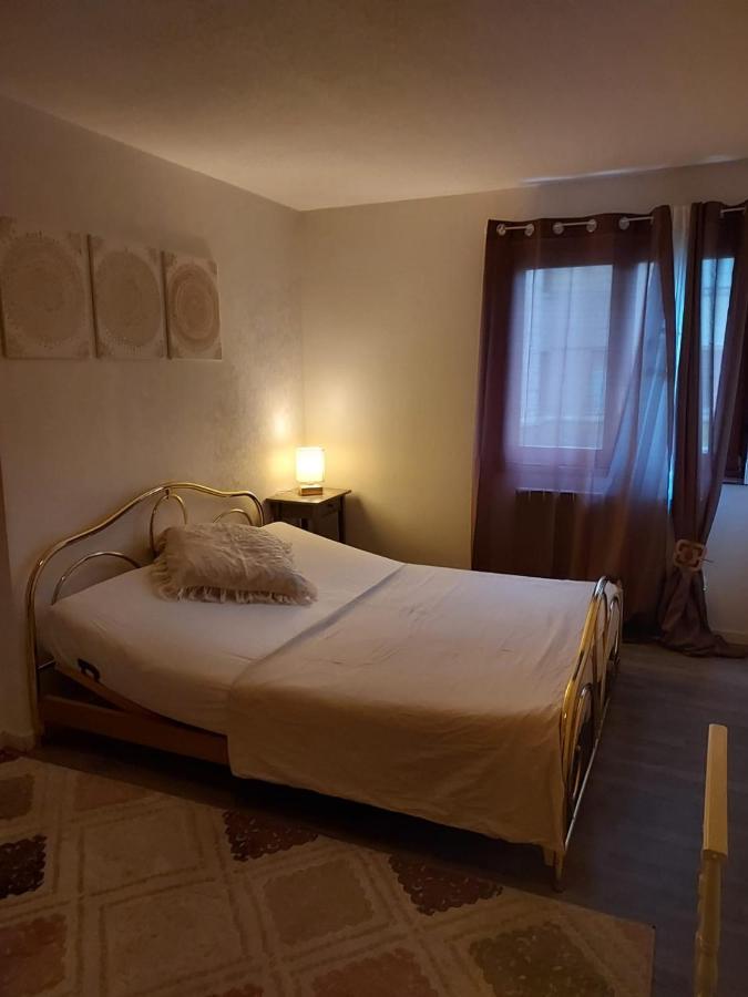 Residence Du Vieux Chateau Jardin & Parking Gratuit Mulhouse Eksteriør bilde